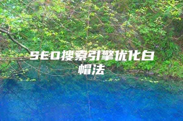SEO搜索引擎优化白帽法