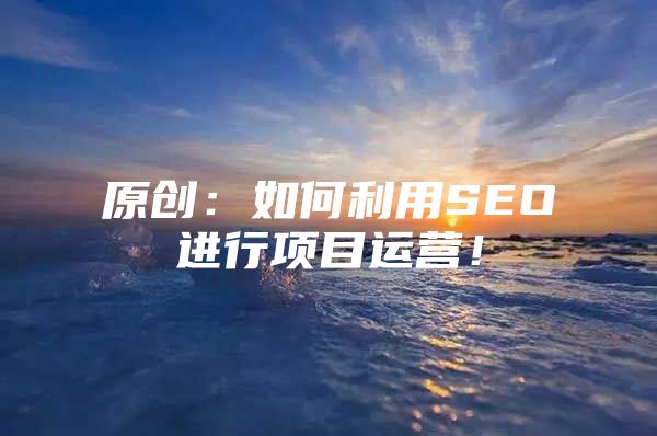原创：如何利用SEO进行项目运营！