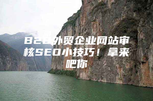 B2B外贸企业网站审核SEO小技巧！拿来吧你