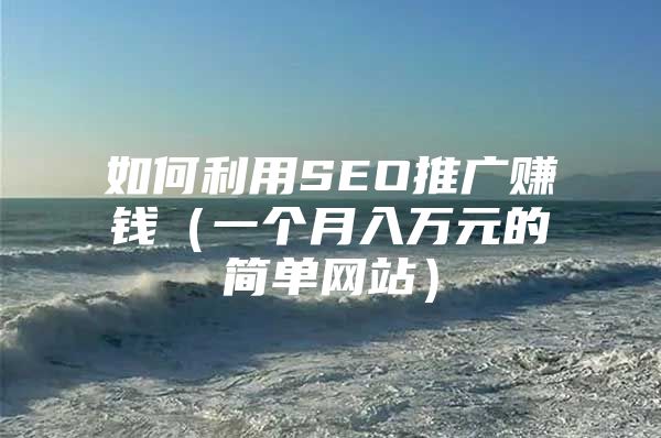 如何利用SEO推广赚钱（一个月入万元的简单网站）