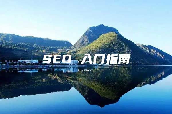 SEO 入门指南