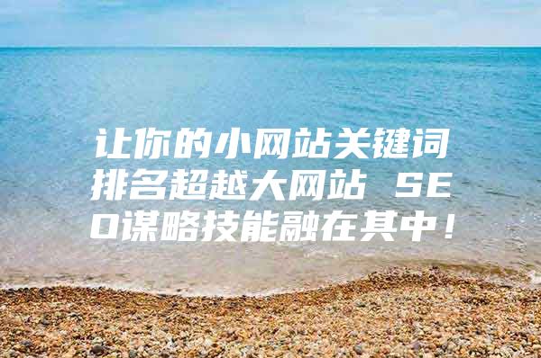 让你的小网站关键词排名超越大网站 SEO谋略技能融在其中！