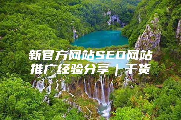 新官方网站SEO网站推广经验分享｜干货
