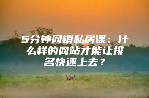 5分钟网销私房课：什么样的网站才能让排名快速上去？