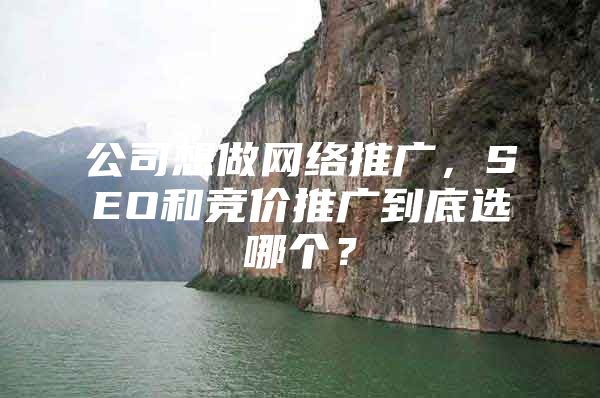 公司想做网络推广，SEO和竞价推广到底选哪个？