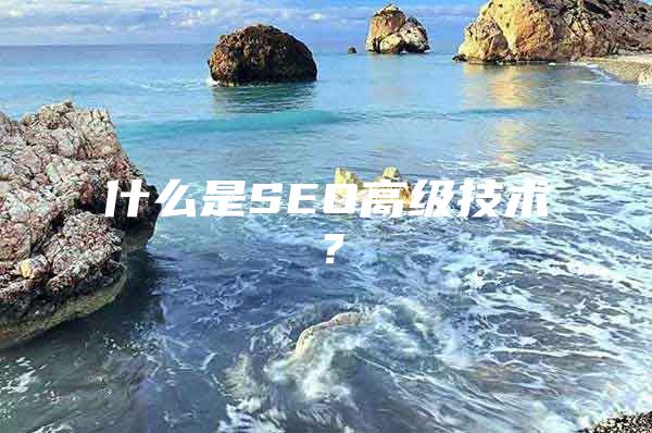 什么是SEO高级技术？