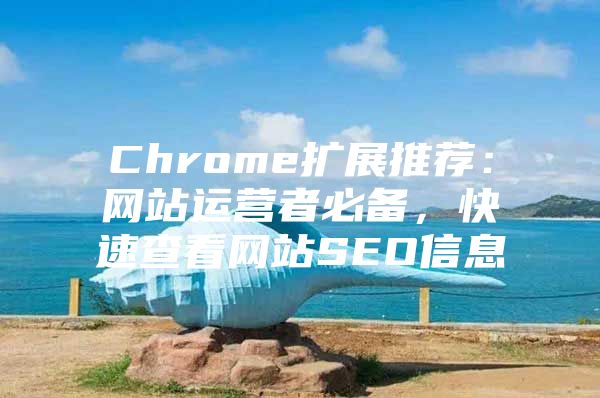 Chrome扩展推荐：网站运营者必备，快速查看网站SEO信息