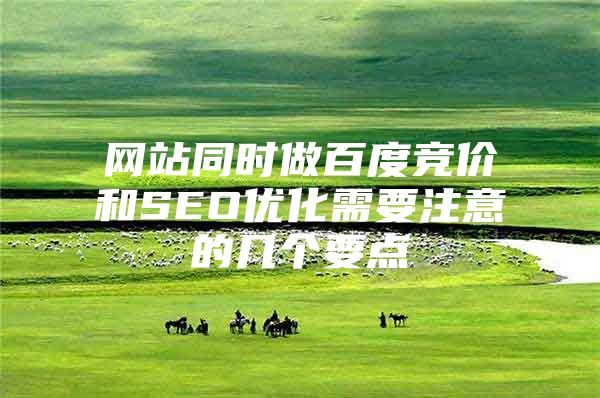 网站同时做百度竞价和SEO优化需要注意的几个要点