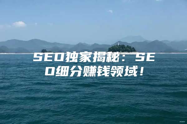 SEO独家揭秘：SEO细分赚钱领域！