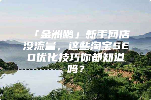 「金洲鹏」新手网店没流量，这些淘宝SEO优化技巧你都知道吗？