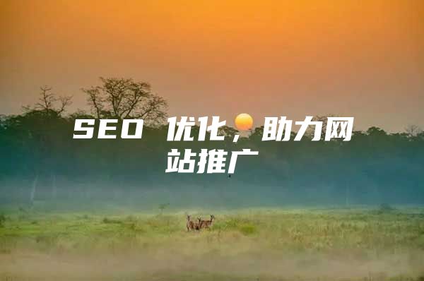 SEO 优化，助力网站推广