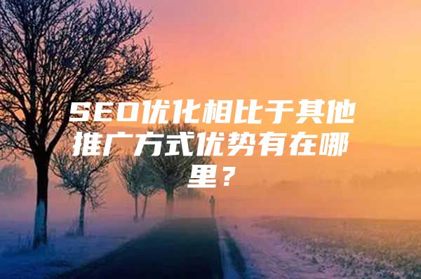 SEO优化相比于其他推广方式优势有在哪里？