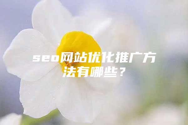 seo网站优化推广方法有哪些？