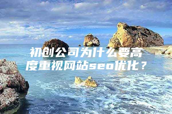 初创公司为什么要高度重视网站seo优化？