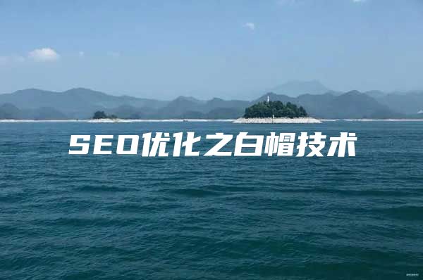 SEO优化之白帽技术