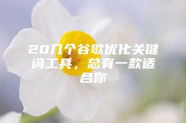 20几个谷歌优化关键词工具，总有一款适合你