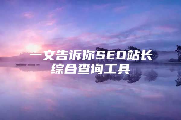 一文告诉你SEO站长综合查询工具