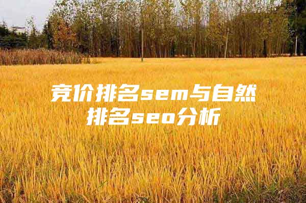 竞价排名sem与自然排名seo分析