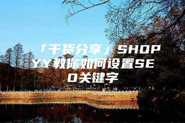「干货分享」SHOPYY教你如何设置SEO关键字
