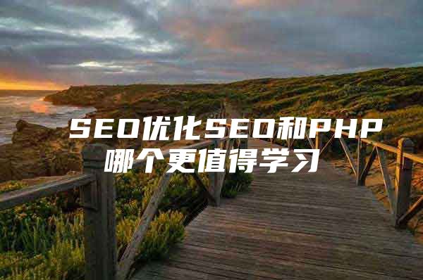 SEO优化SEO和PHP哪个更值得学习