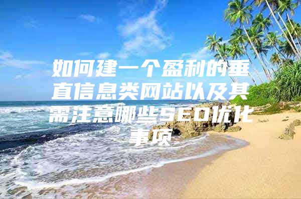 如何建一个盈利的垂直信息类网站以及其需注意哪些SEO优化事项