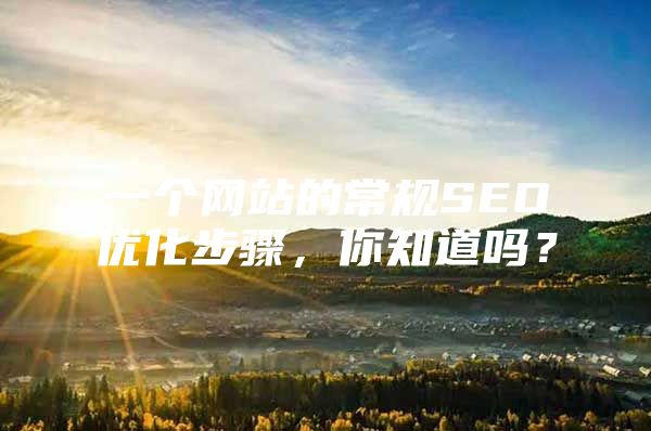一个网站的常规SEO优化步骤，你知道吗？