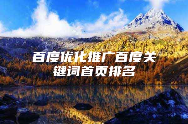 百度优化推广百度关键词首页排名
