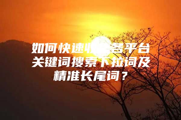 如何快速收集各平台关键词搜索下拉词及精准长尾词？