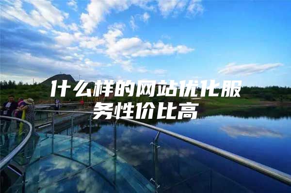 什么样的网站优化服务性价比高