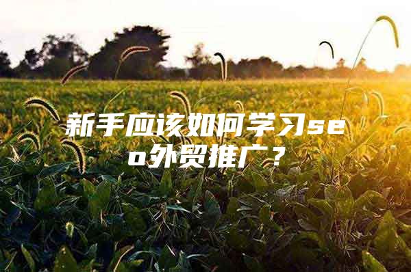 新手应该如何学习seo外贸推广？