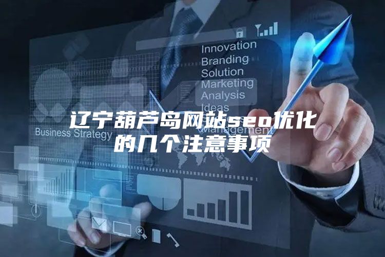 辽宁葫芦岛网站seo优化的几个注意事项