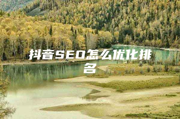 抖音SEO怎么优化排名