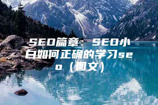SEO篇章：SEO小白如何正确的学习seo（图文）