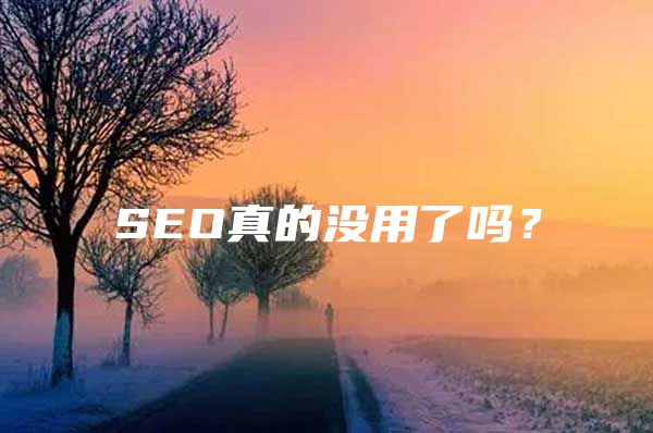 SEO真的没用了吗？