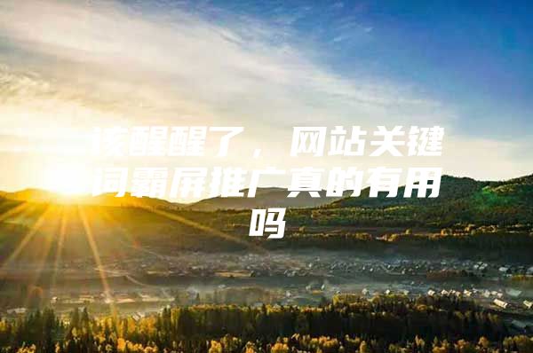 该醒醒了，网站关键词霸屏推广真的有用吗