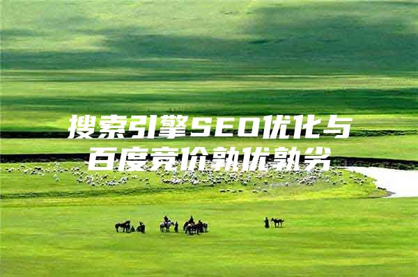 搜索引擎SEO优化与百度竞价孰优孰劣