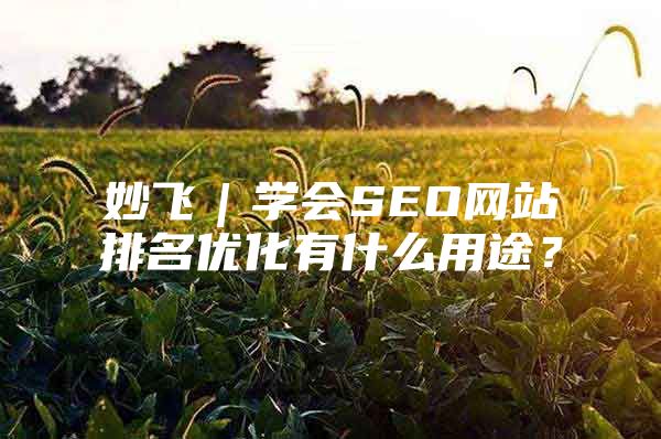 妙飞｜学会SEO网站排名优化有什么用途？