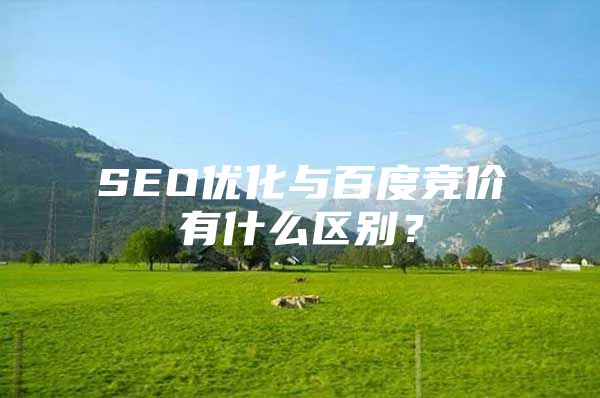 SEO优化与百度竞价有什么区别？
