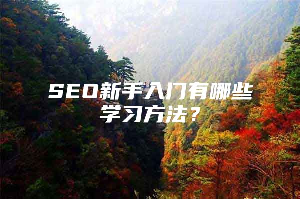 SEO新手入门有哪些学习方法？