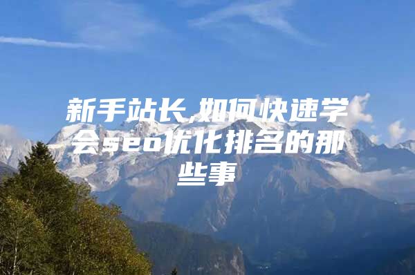 新手站长,如何快速学会seo优化排名的那些事
