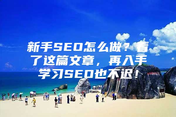 新手SEO怎么做？看了这篇文章，再入手学习SEO也不迟！