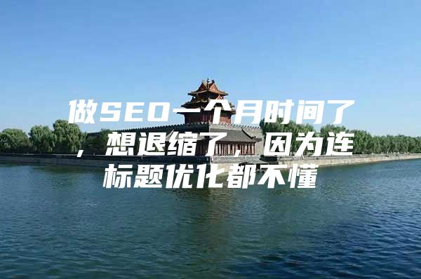 做SEO一个月时间了，想退缩了，因为连标题优化都不懂