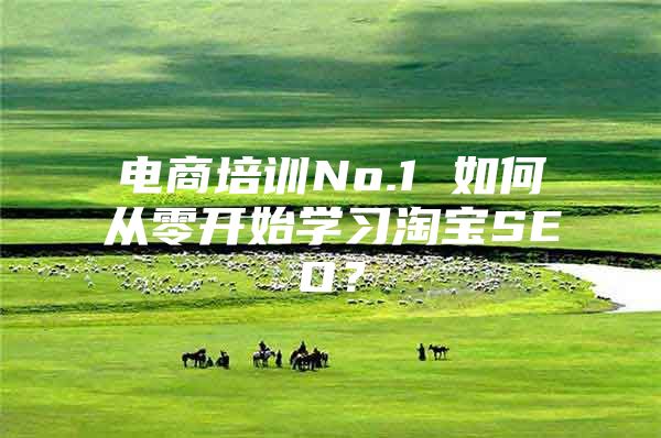 电商培训No.1 如何从零开始学习淘宝SEO？