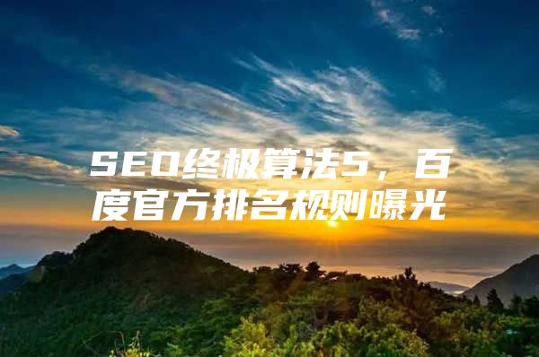 SEO终极算法5，百度官方排名规则曝光