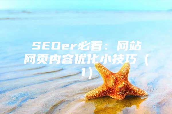SEOer必看：网站网页内容优化小技巧（1）