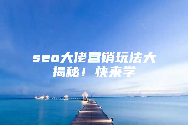 seo大佬营销玩法大揭秘！快来学