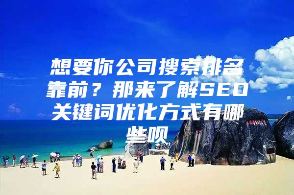 想要你公司搜索排名靠前？那来了解SEO关键词优化方式有哪些呗