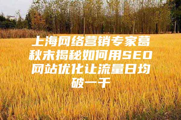 上海网络营销专家葛秋末揭秘如何用SEO网站优化让流量日均破一千