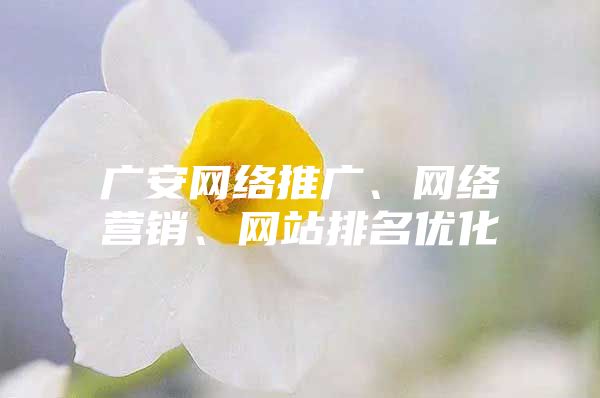 广安网络推广、网络营销、网站排名优化
