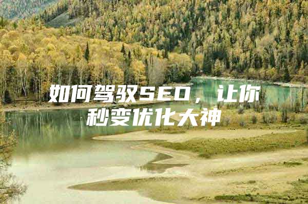 如何驾驭SEO，让你秒变优化大神